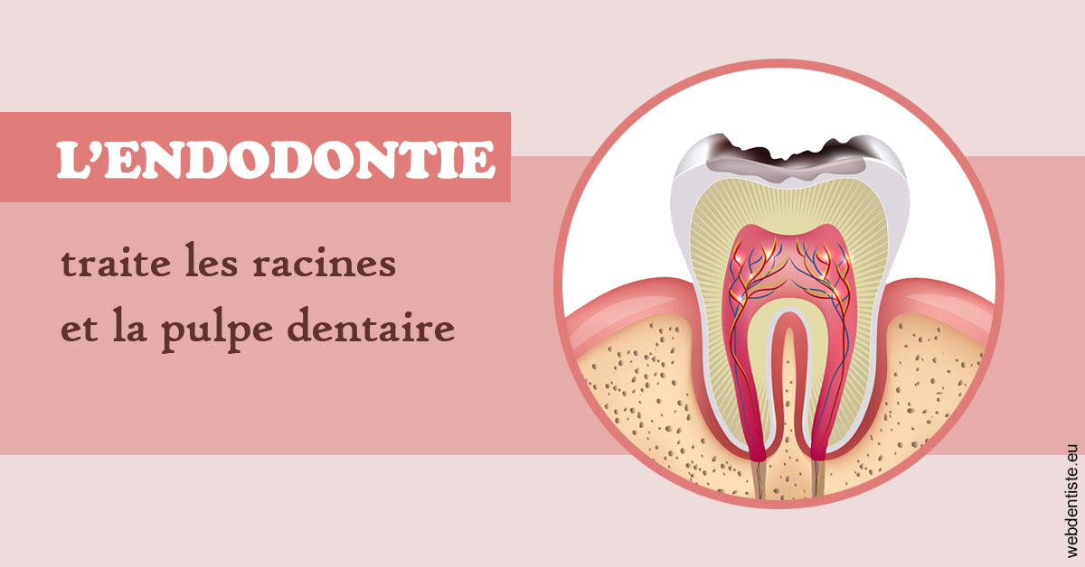 https://www.cabinetdentairedustade.fr/L'endodontie 2