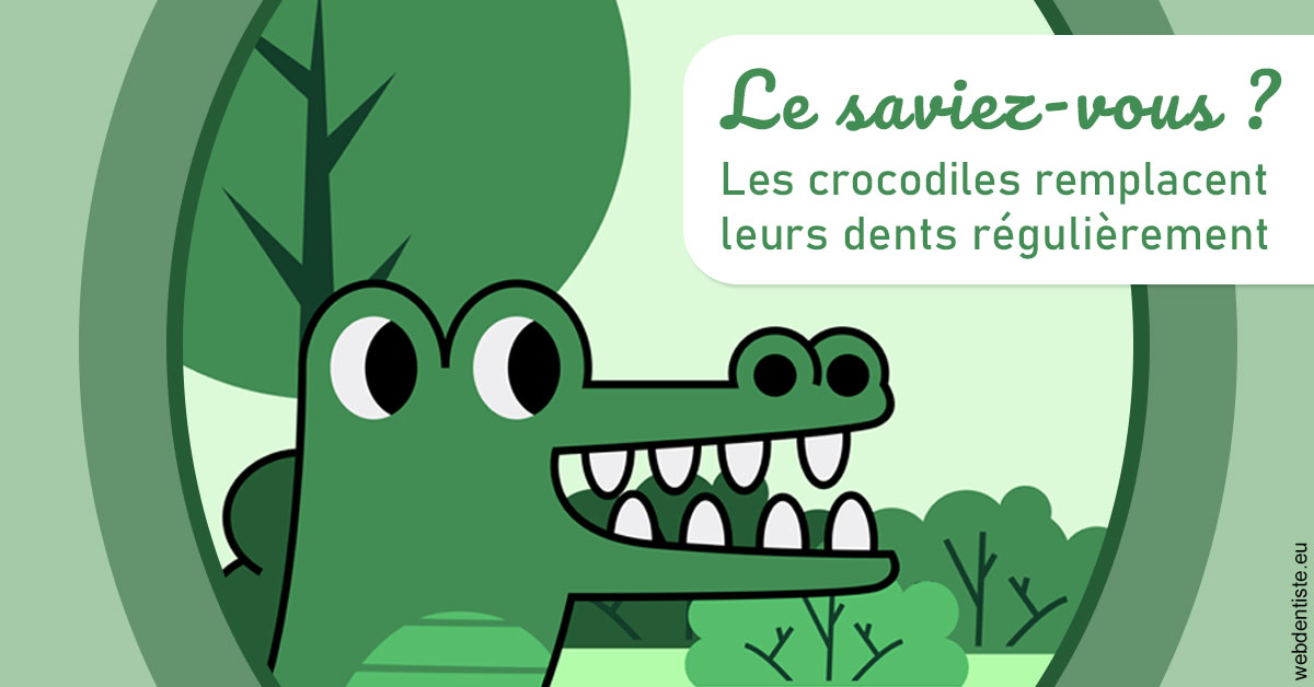 https://www.cabinetdentairedustade.fr/Crocodiles 2