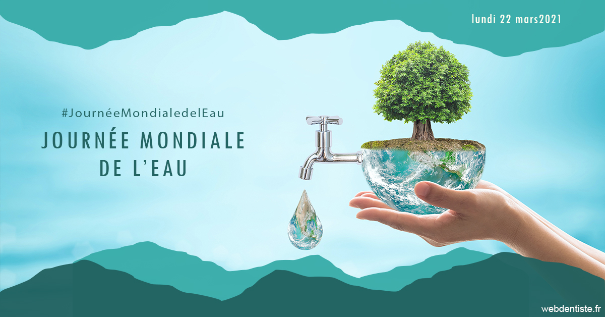 https://www.cabinetdentairedustade.fr/Journée de l'eau 1