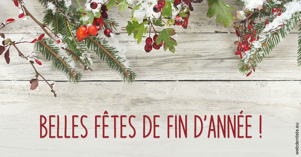 https://www.cabinetdentairedustade.fr/Joyeux Noël 2