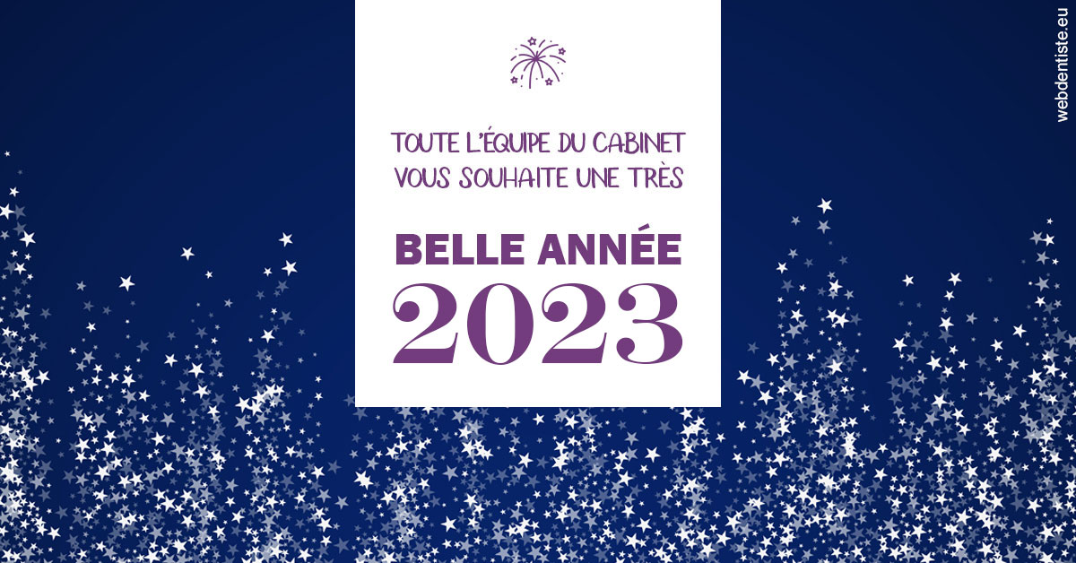 https://www.cabinetdentairedustade.fr/Bonne année 2023 2
