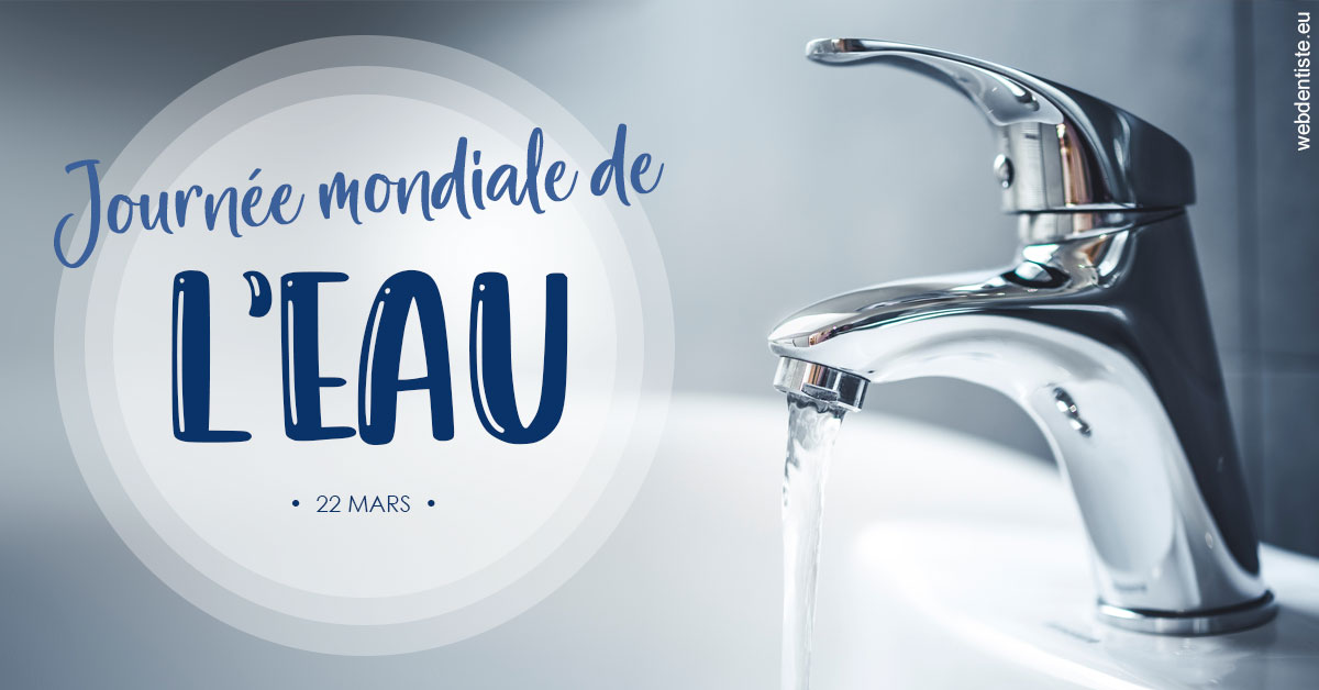 https://www.cabinetdentairedustade.fr/La journée de l'eau 2
