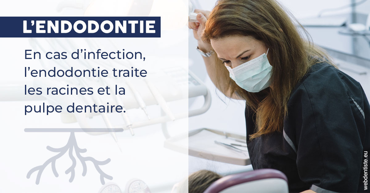 https://www.cabinetdentairedustade.fr/L'endodontie 1