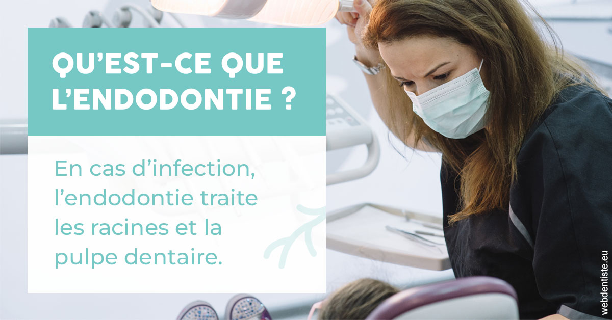 https://www.cabinetdentairedustade.fr/2024 T1 - Endodontie 01