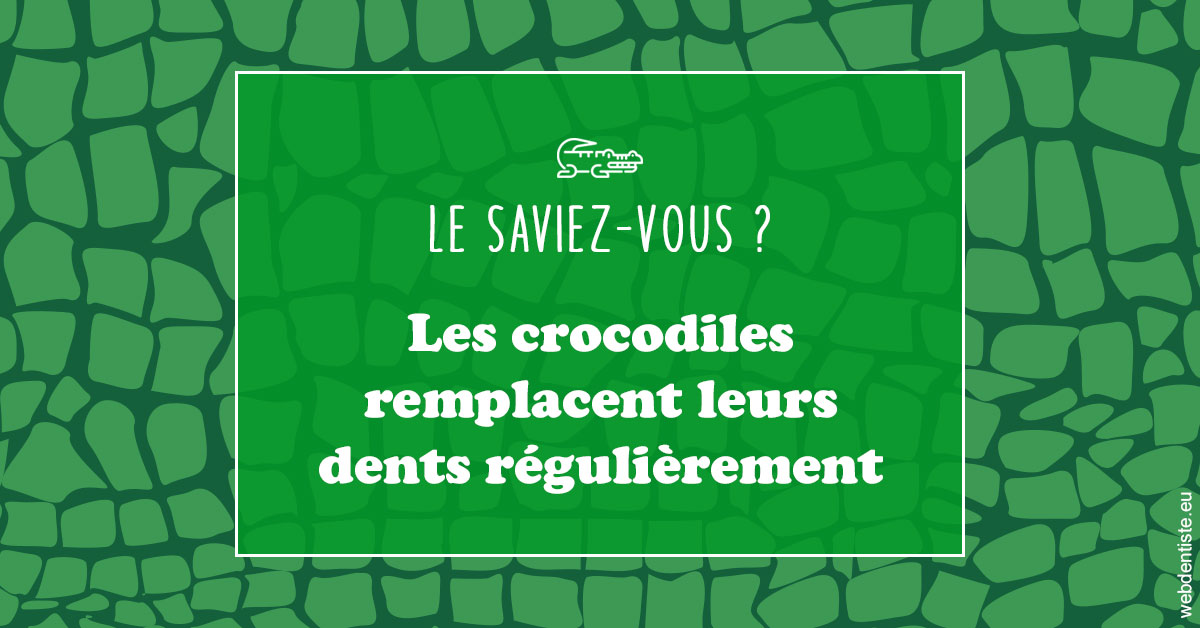 https://www.cabinetdentairedustade.fr/Crocodiles 1